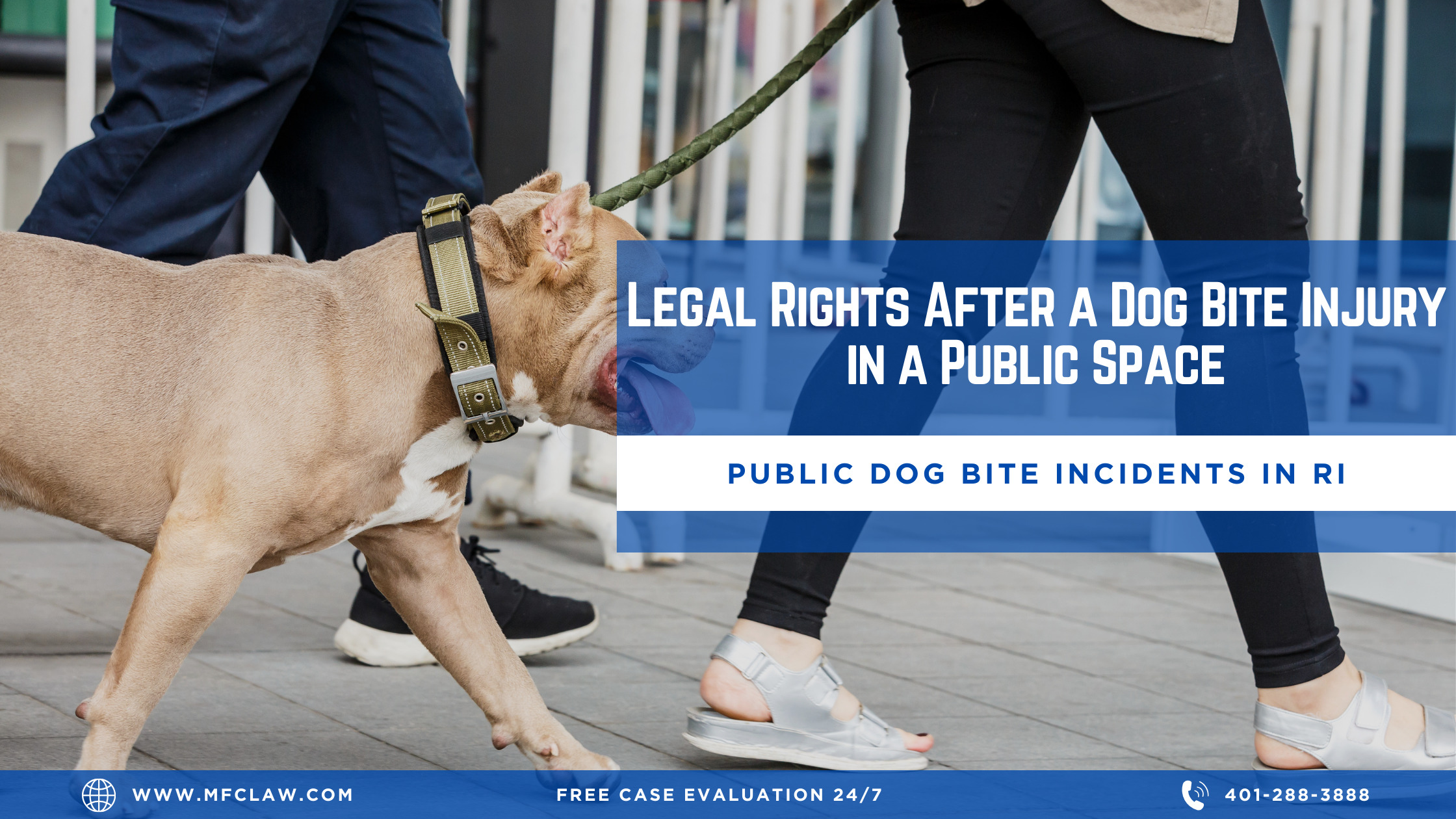 Legal Rights After a Dog Bite Injury in a Public Space A Rhode Island Perspective